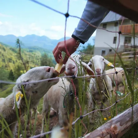 Apartament Apartma Gorski Razgled *