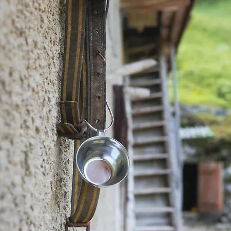 Apartma Gorski Razgled Srednja Vas v Bohinju