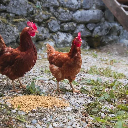 Apartament Apartma Gorski Razgled Srednja Vas v Bohinju