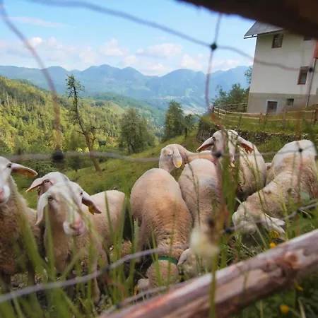 Apartma Gorski Razgled * Srednja Vas v Bohinju