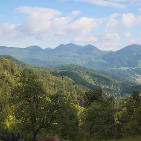 Apartma Gorski Razgled Apartment