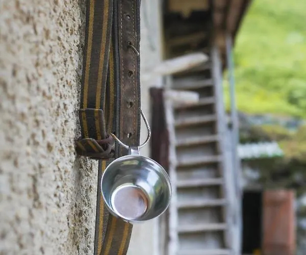 Apartma Gorski Razgled Srednja Vas v Bohinju