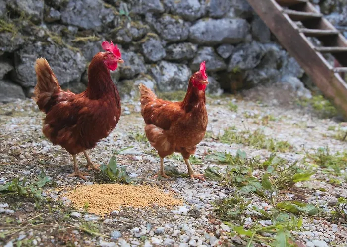 דירה Apartma Gorski Razgled Srednja Vas v Bohinju