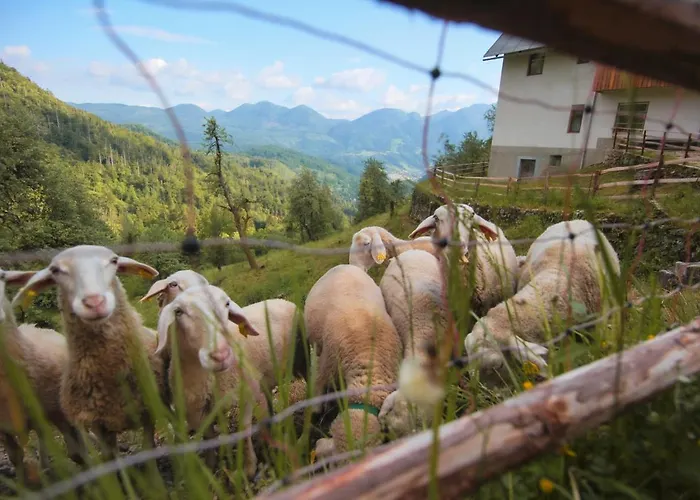 Apartma Gorski Razgled * Srednja Vas v Bohinju